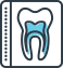 Computer-generated graphic depicting what the root of a tooth looks like.